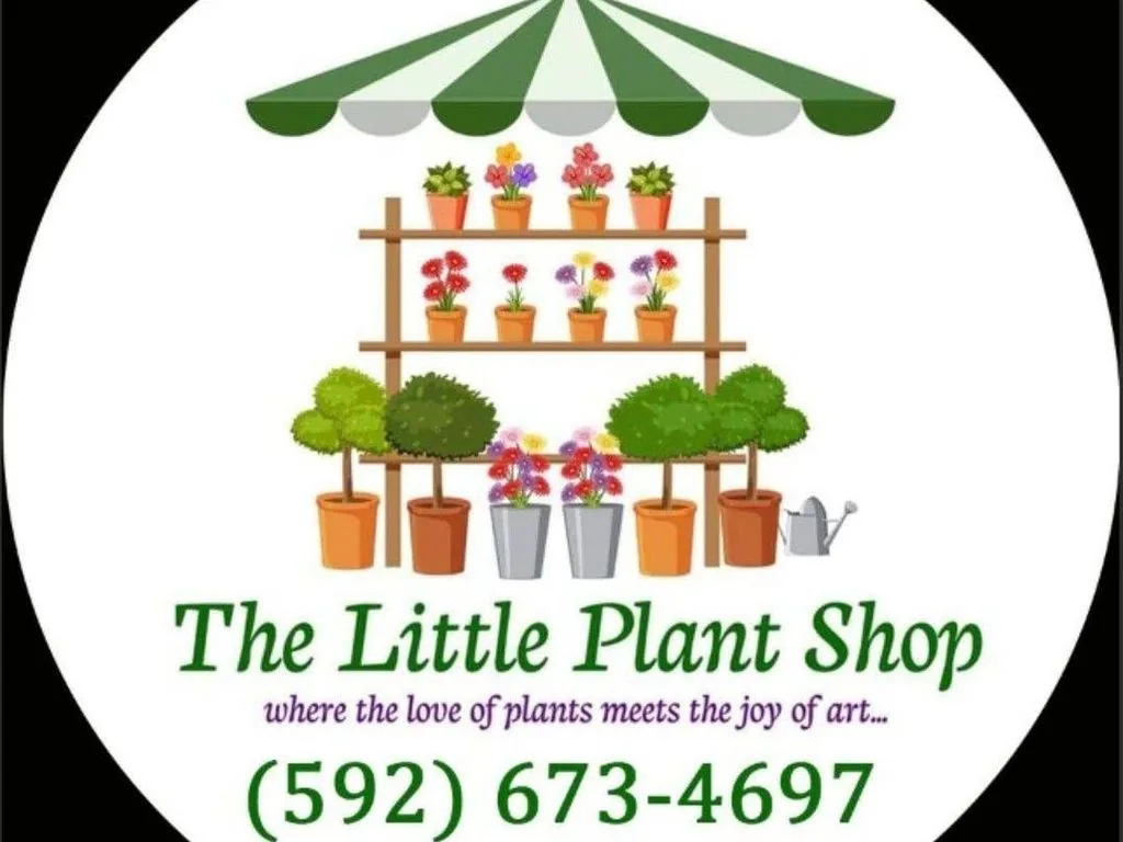 The Little Plant Shop storefront at 152 Barr Street, Kitty, Georgetown, Guyana