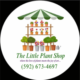 The Little Plant Shop logo